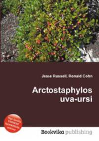 Arctostaphylos uva-ursi