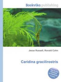 Caridina gracilirostris