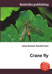 Crane fly