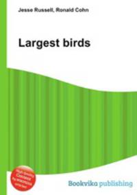 Largest birds