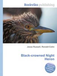Black-crowned Night Heron