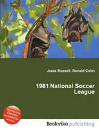 1981 National Soccer League