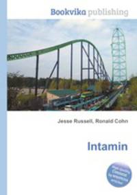 Intamin