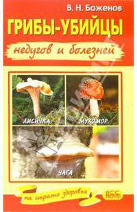 НСЗ.Грибы-убийцы недугов и болезней