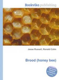 Brood (honey bee)