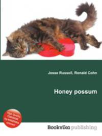 Honey possum