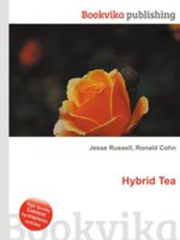 Hybrid Tea