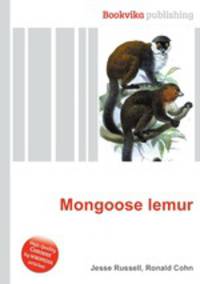 Mongoose lemur