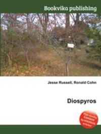 Diospyros