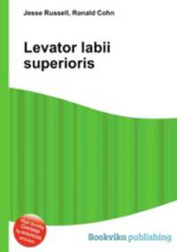 Levator labii superioris