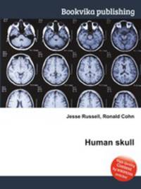 Human skull