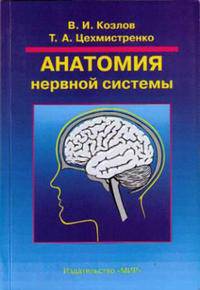 Анатомия нервной системы
