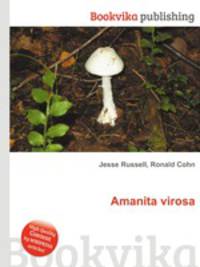 Amanita virosa