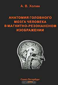 Анатомия головного мозга человека в магнитно-резонансном изображении