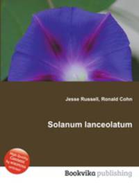Solanum lanceolatum