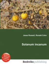 Solanum incanum
