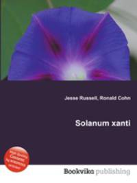 Solanum xanti