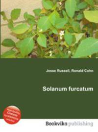 Solanum furcatum