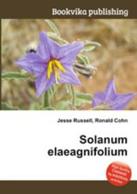 Solanum elaeagnifolium