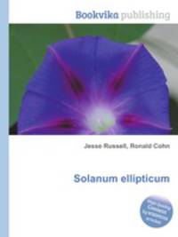Solanum ellipticum