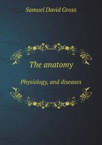 The anatomy. Physiology, and diseases