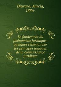 Le fondement du ph?nom?ne juridique : quelques r?flexion sur les principes logiques de la connaissance juridique