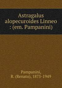 Astragalus alopecuroides Linneo : (em. Pampanini)