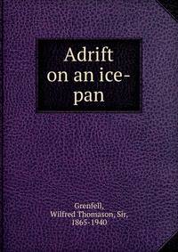 Adrift on an ice-pan