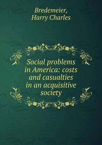 Social problems in America: costs and casualties in an acquisitive society