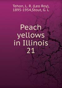 Peach yellows in Illinois. 21