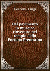 Del pavimento in musaico rinvenuto nel tempio della Fortuna Prenestina