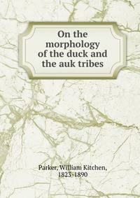 On the morphology of the duck and the auk tribes