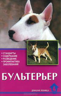 Бультерьер. Стандарты. Содержание. Разведение. Профилактика заболеваний