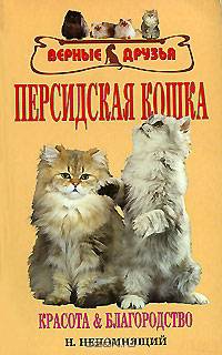 Персидская кошка
