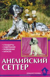 Английский сеттер. Стандарты. Содержание. Разведение. Профилактика заболеваний