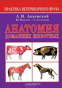 Анатомия домашних животных. - 5-е изд., перераб. и доп