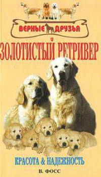 Золотистый ретривер. Красота и надежность