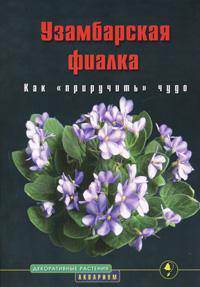Узамбарская фиалка. Как 'приручить' чудо