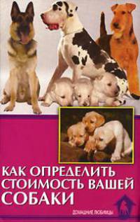 Как определить стоимость вашей собаки - (Домашние любимцы)