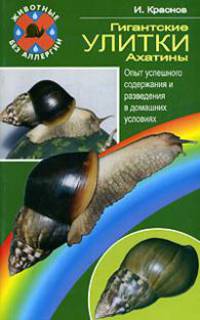 Гигантские улитки - ахатины - (Животные без аллергии)