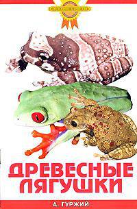 Древесные лягушки - (Золотые советы по уходу и содержанию)