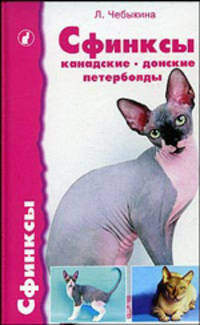 Сфинксы: канадские, донские и петерболды