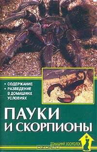 Пауки и скорпионы