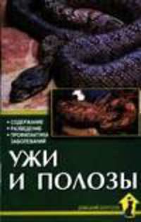 Ужи и полозы - (Домашний зооуголок)