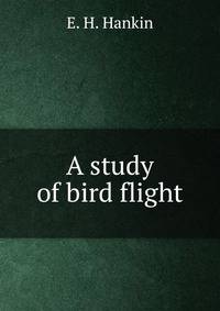 A study of bird flight