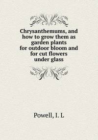 Chrysanthemums, and how to grow them as garden plants for outdoor bloom and for cut flowers under glass