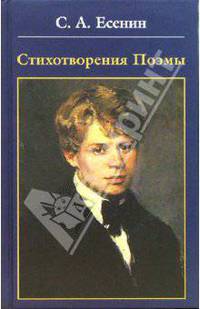 Стихотворения. Поэмы - (Библиотека русской классики)