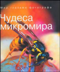 Чудеса микромира. Мир глазами фотографа