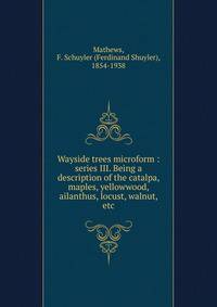 Wayside trees microform : series III. Being a description of the catalpa, maples, yellowwood, ailanthus, locust, walnut, etc.
