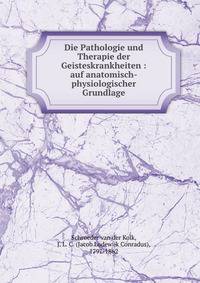 Die Pathologie und Therapie der Geisteskrankheiten : auf anatomisch-physiologischer Grundlage